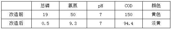 食品污水处理改造前后出水效果