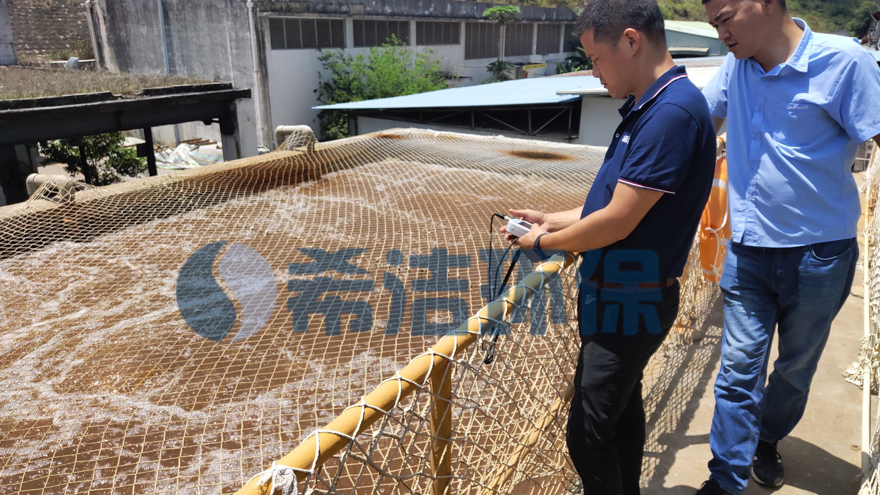 污水处理ph值怎么调整