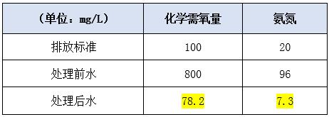 豆芽厂处理后