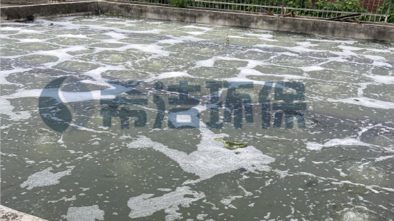 屠宰场污水中如何处理