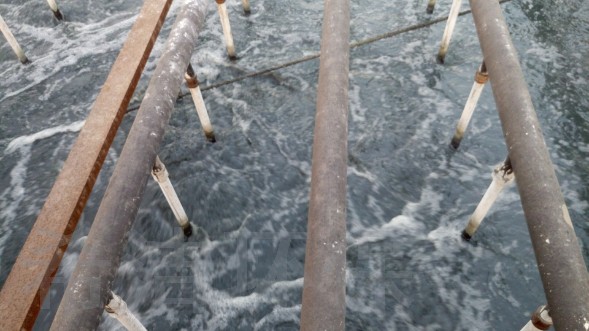 含油废水