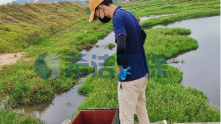 <i style='color:red'>污水总磷偏高怎么处理</i>案例（图）