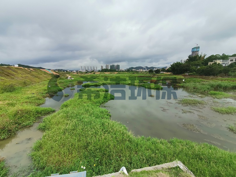 农村生活污水