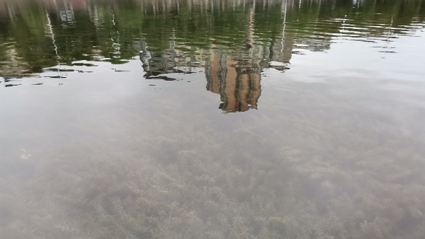 轻度污染河道治理方案