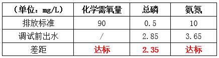 污水改造前原水处理后的效果