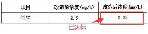 污水厂总磷处理效果