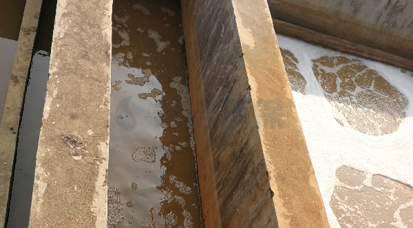 磷超标了怎么办？养殖废水整改方案（图）