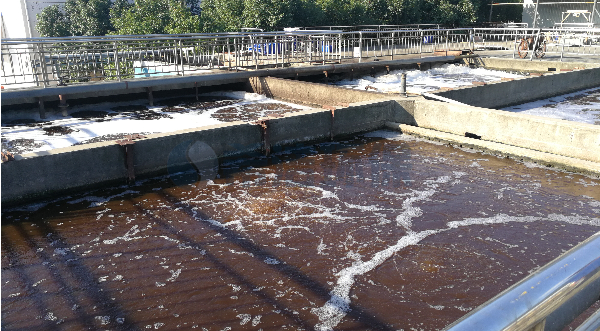 总磷超标的解决办法