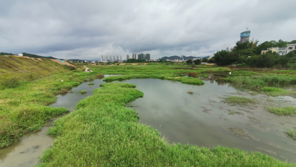 农村废水治理