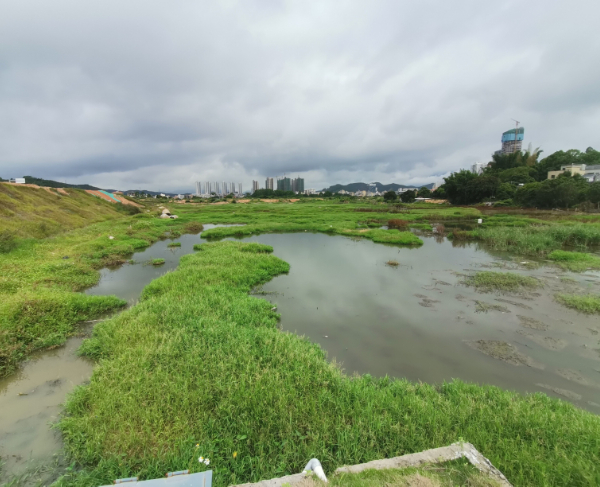 农村废水治理