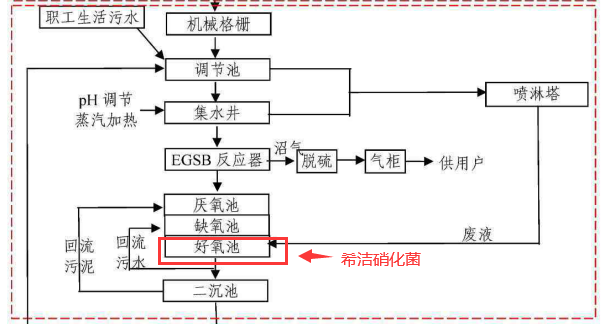 淀粉厂废水处理工艺2