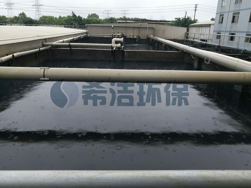 豆制品厂污水现场