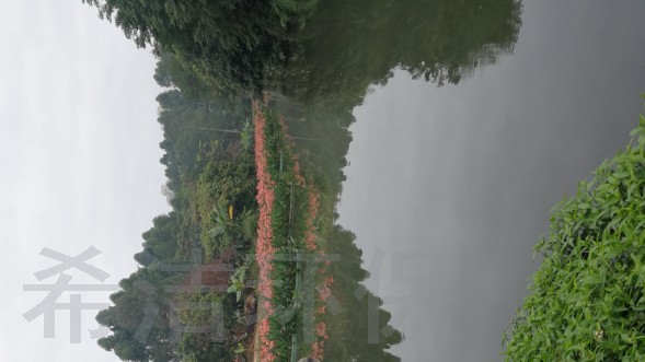 农村污水