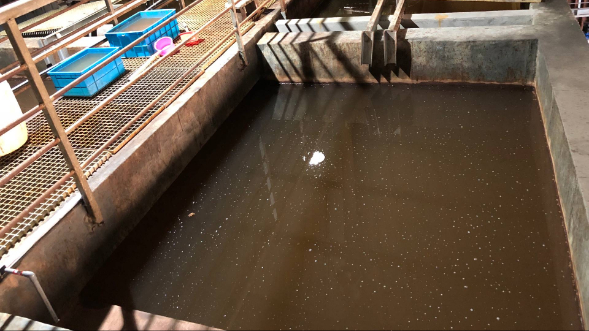 氨氮高的废水怎么处理