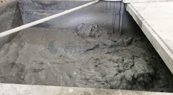 垃圾液去除氨氮