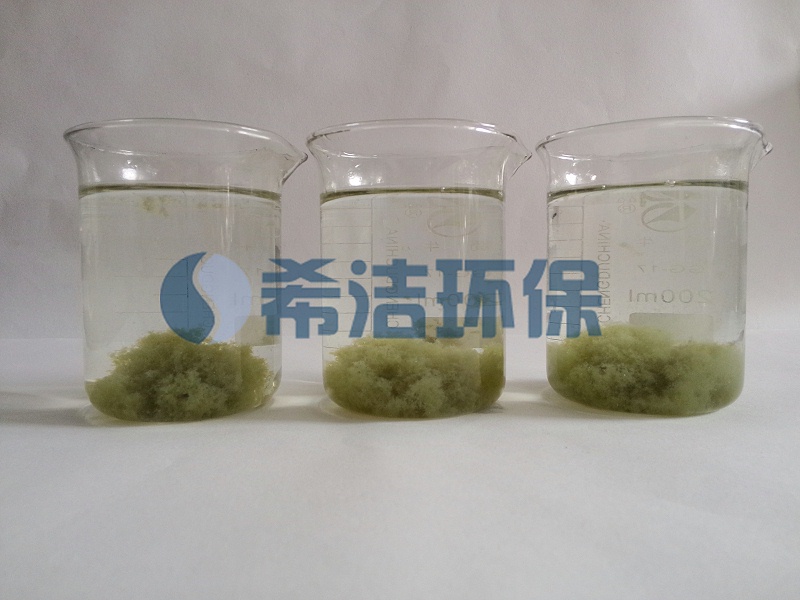 污水COD高怎么处理