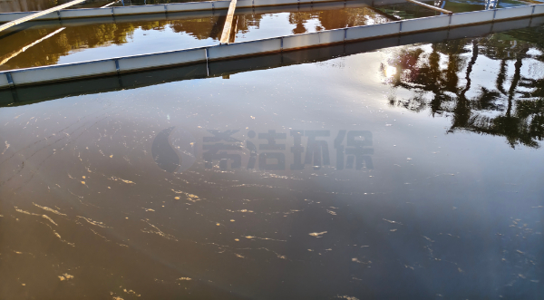 化粪池可以去除氨氮吗