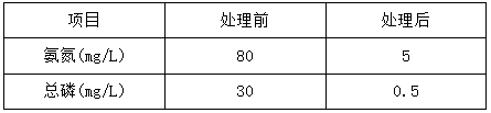生活污水运营效果后